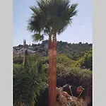 Casa Rustica 2 * 托雷莫利诺斯